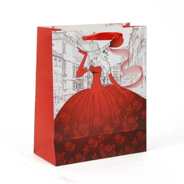 BOLSA VESTIDO - imagen 3