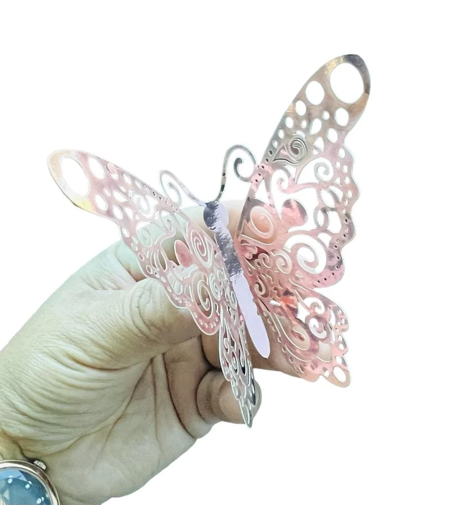 PACK DOCENA MARIPOSAS - imagen 3