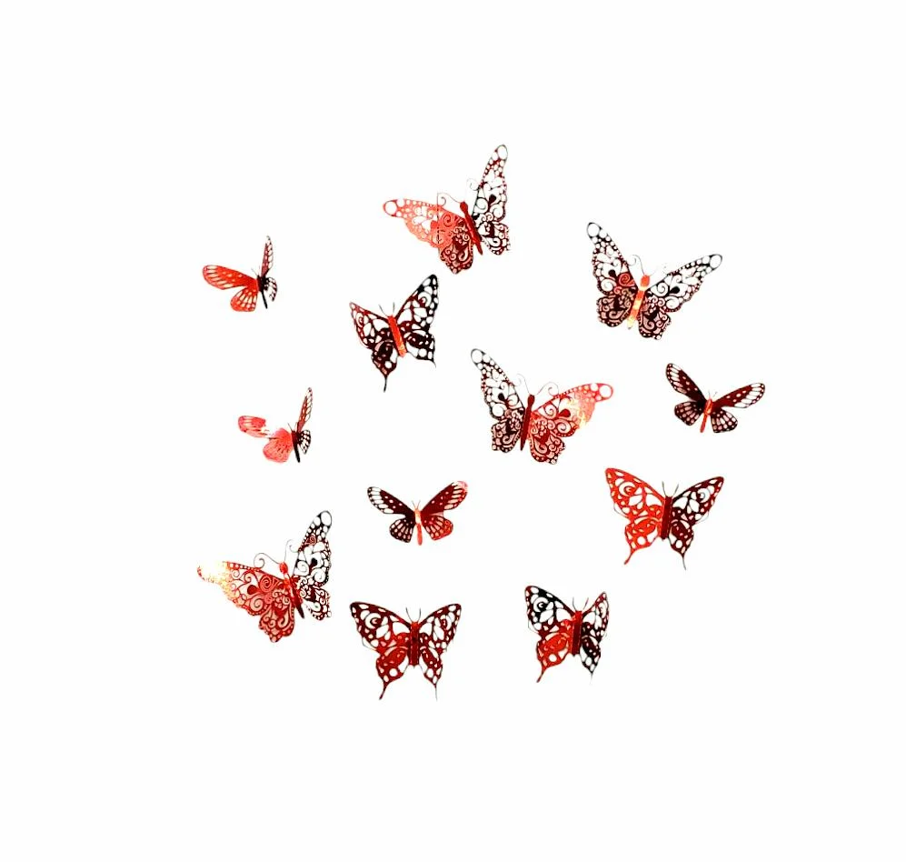 PACK DOCENA MARIPOSAS - imagen 2