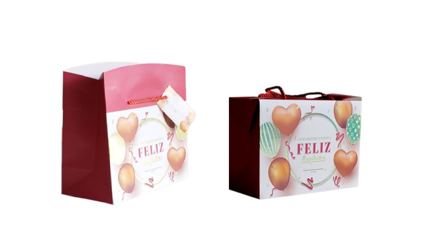 BOLSA CAJA MEDIANA