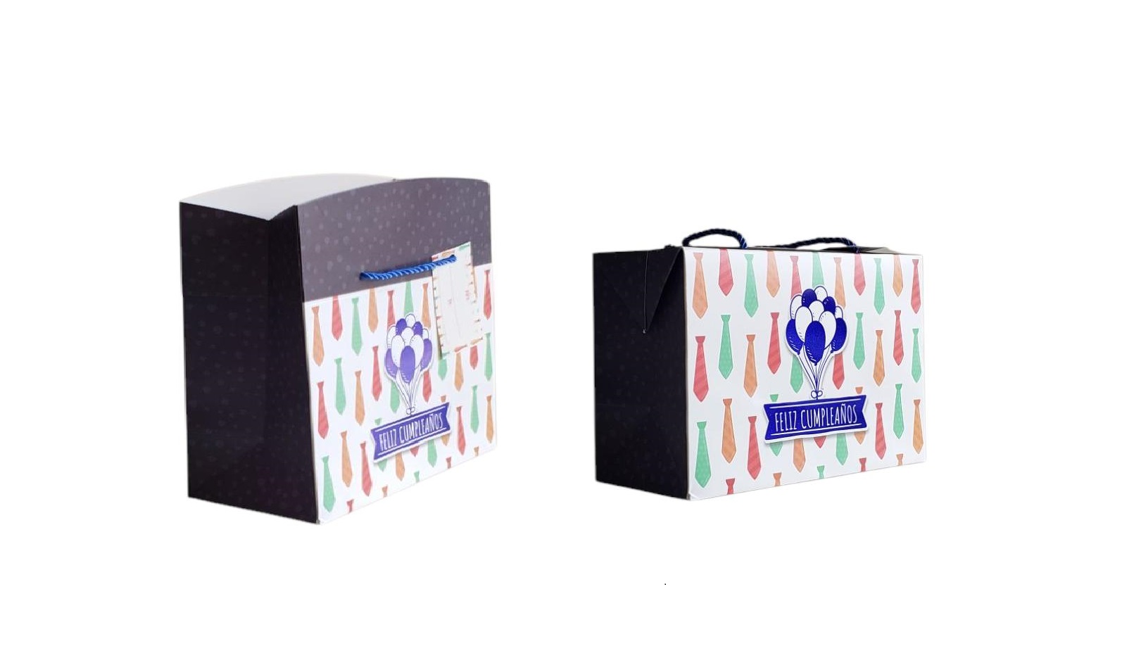 BOLSA CAJA MEDIANA