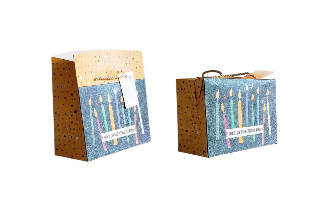 BOLSA CAJA MEDIANA