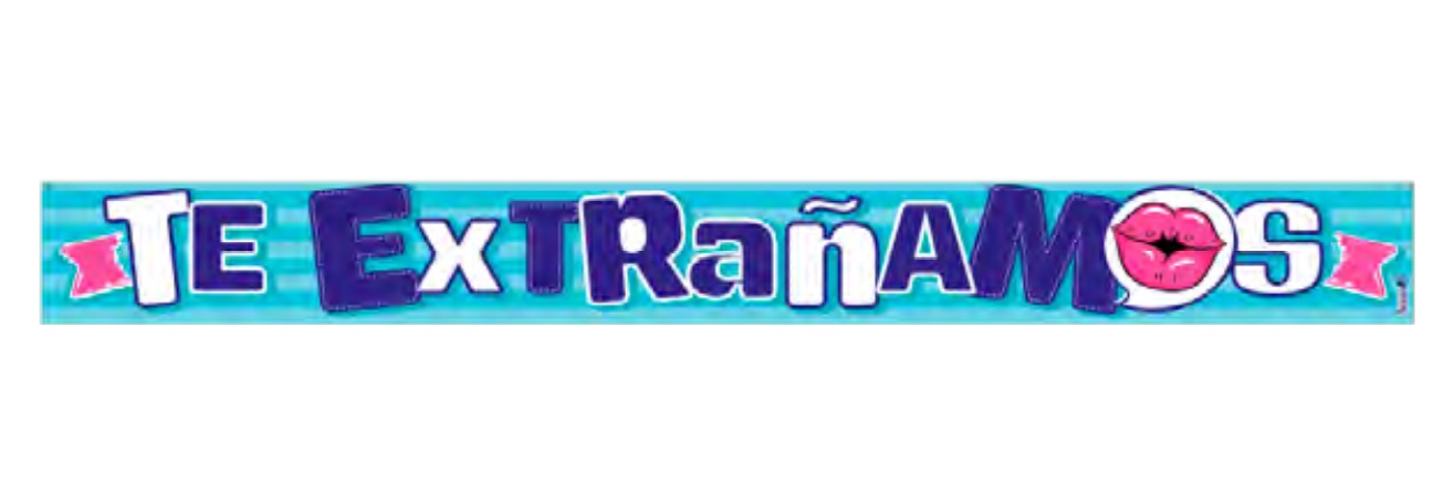 BANNER PEQUEÑO