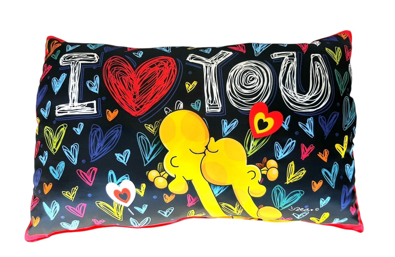 ALMOHADA GRANDE