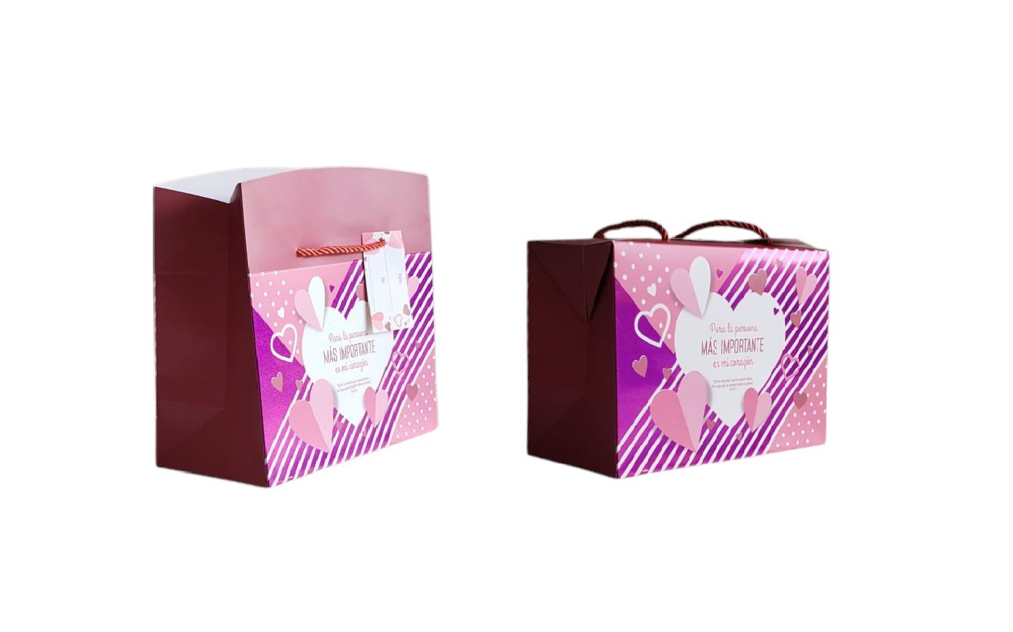 BOLSA CAJA MEDIANA